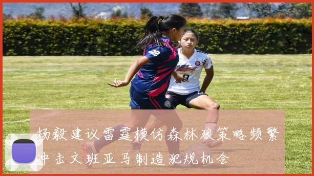 杨毅建议雷霆模仿森林狼策略频繁冲击文班亚马制造犯规机会